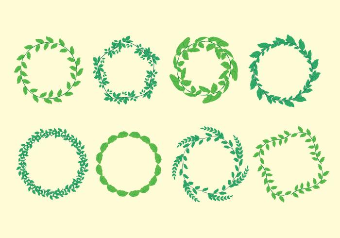 700x490 Stevia Leaf Frame Vector