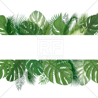400x400 Tropical Leaves Seamless Background Or Frame Vector Image
