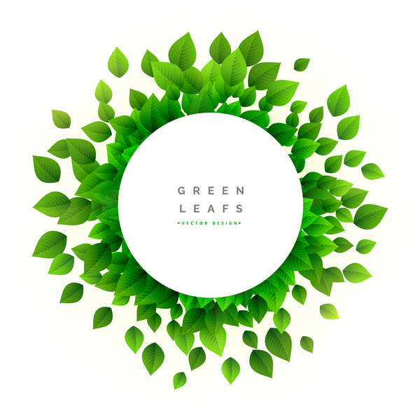 600x600 White Cricle Frame With Green Leaves Vector Free Download