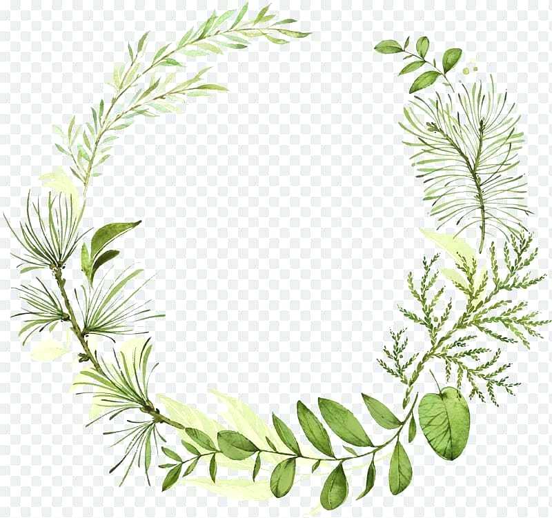 Green Leaf Wreath Green Leaf Wreath Logo Green Leaf Wreath Png 800x751 Green Leaf Wreath Green Leaf Wreath Logo Green Leaf Wreath Png