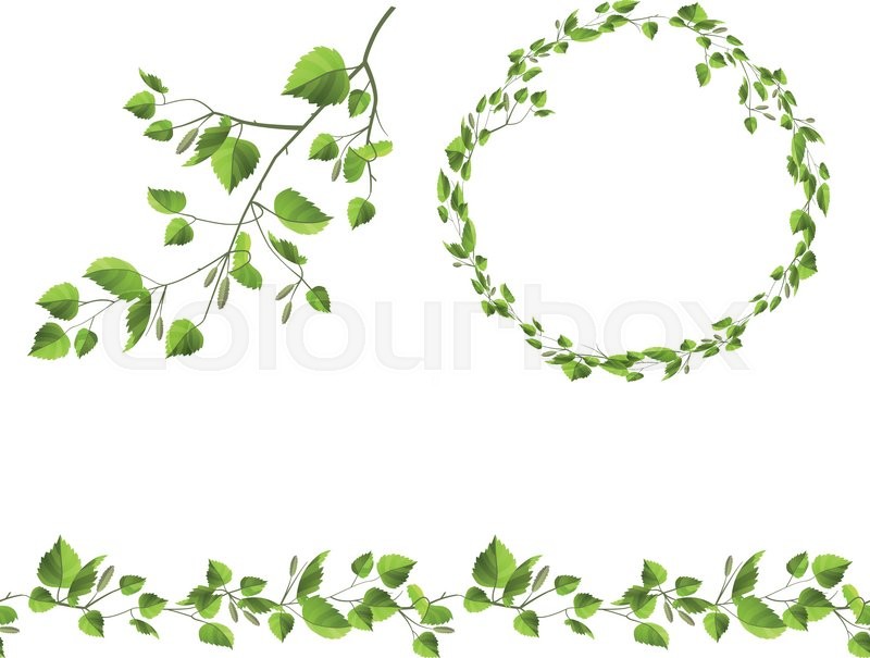 Branch Of Tree With Green Leaves Stock Vector Colourbox 800x605 Branch Of Tree With Green Leaves Stock Vector Colourbox