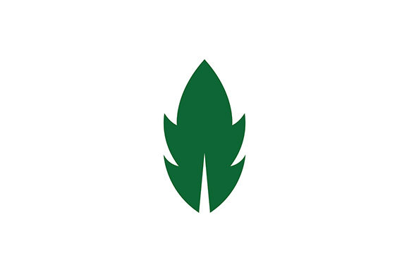 Green Vector Leaf Icon Graphic 580x386 Green Vector Leaf Icon Graphic