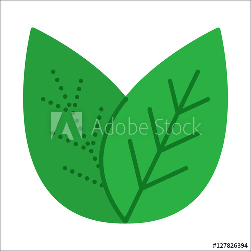 Green Tea Leaves Flat Design Thin Line Leaf Icon Vector 500x500 Green Tea Leaves Flat Design Thin Line Leaf Icon Vector