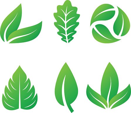 Leaf Icon Vector Stock Vectors 447x386 Leaf Icon Vector Stock Vectors