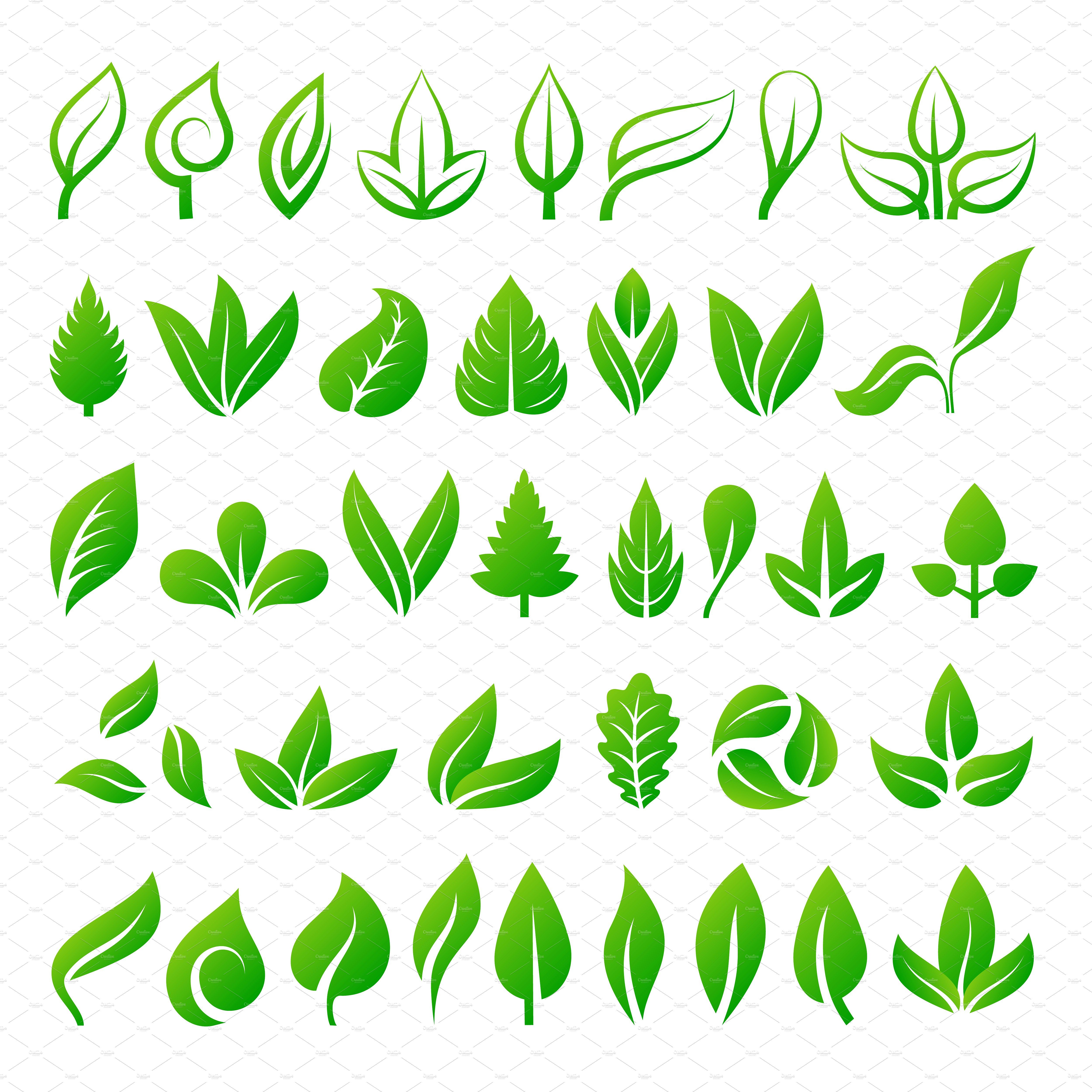 Leaf Icons Vector Illustration 5000x5000 Leaf Icons Vector Illustration