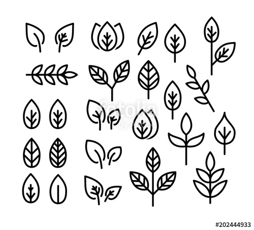 Leaves Thin Line Icon Set Vector Stock Image And Royalty Free 500x453 Leaves Thin Line Icon Set Vector Stock Image And Royalty Free