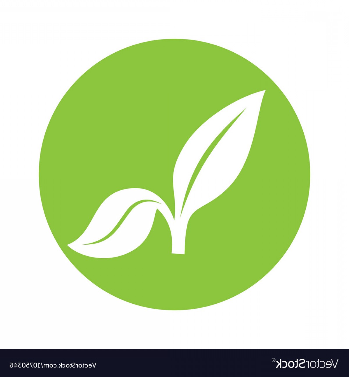 Vector Leaf Icon Handandbeak 1200x1296 Vector Leaf Icon Handandbeak