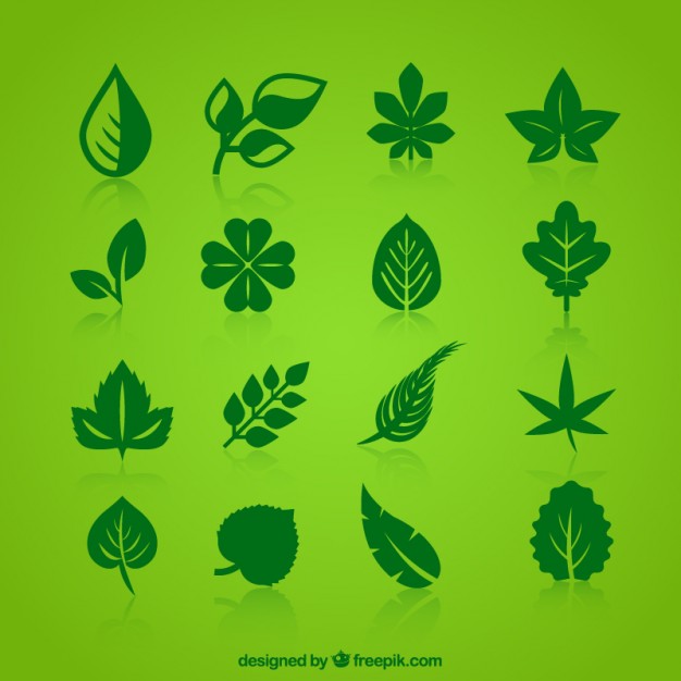 Collection Of Green Leaves Icons Vector Free Download 626x626 Collection Of Green Leaves Icons Vector Free Download