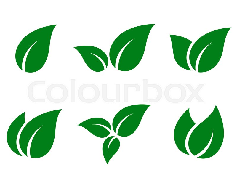 Eco Green Leaf Icon Set On White Stock Vector Colourbox 800x618 Eco Green Leaf Icon Set On White Stock Vector Colourbox