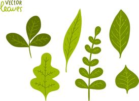 Leaf Free Vector Art 274x200 Leaf Free Vector Art