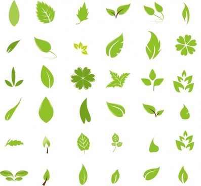 Leaf Free Vector Download 397x368 Leaf Free Vector Download