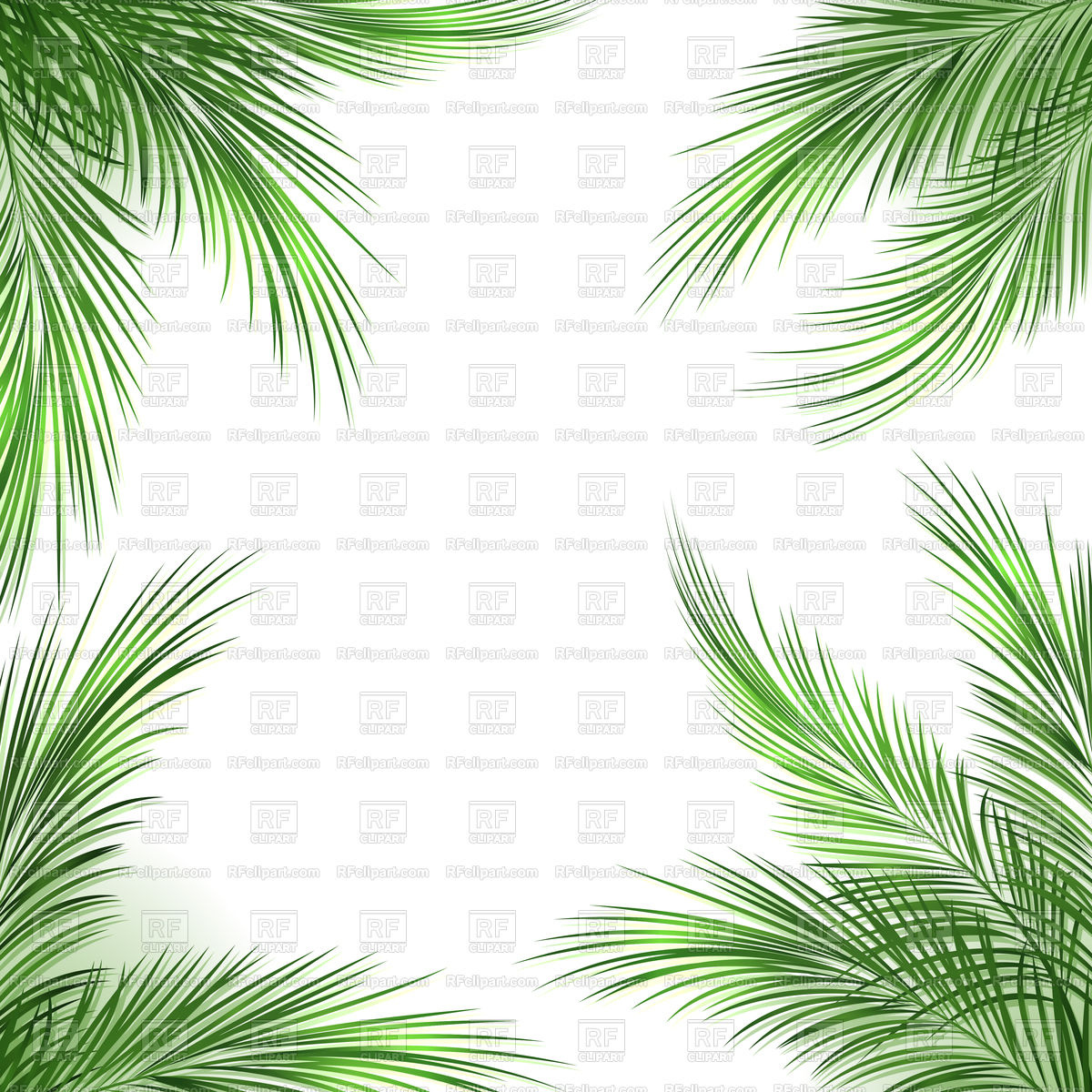 Palm Leaves Frame On White Background Vector Image Of Plants 1200x1200 Palm Leaves Frame On White Background Vector Image Of Plants