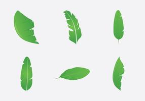 Banana Leaf Free Vector Art 286x200 Banana Leaf Free Vector Art