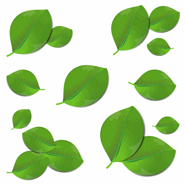 Realistic Green Leaves Vector Illustration Free Download 600x600 Realistic Green Leaves Vector Illustration Free Download