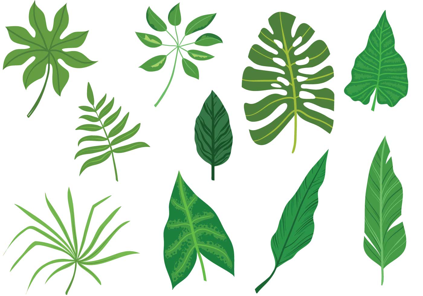Tropical Leaves Free Vector Art 1400x980 Tropical Leaves Free Vector Art