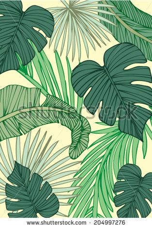 Tropical Leaf Background Vectorillustration 314x470 Tropical Leaf Background Vectorillustration