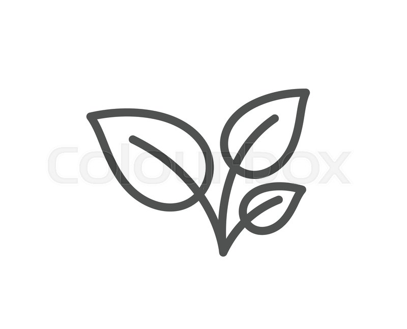 800x647 Leaves Line Icon Grow Plant Leaf Stock Vector Colourbox