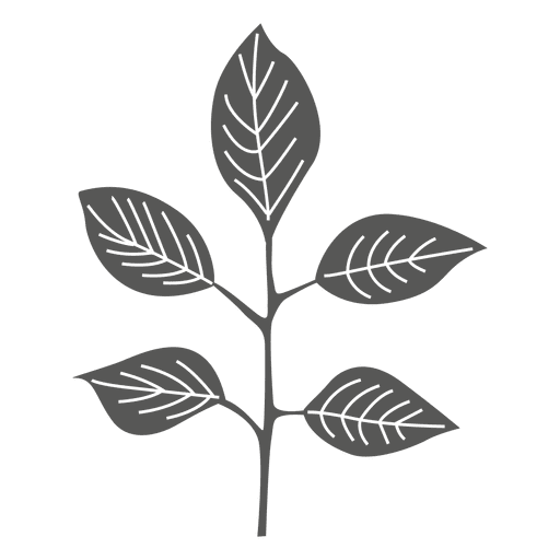 512x512 Pinnately Leaves Line Silhouette