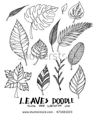 386x470 Set Of Doodle Leaves Sketch Line Vector Illustration Bujo