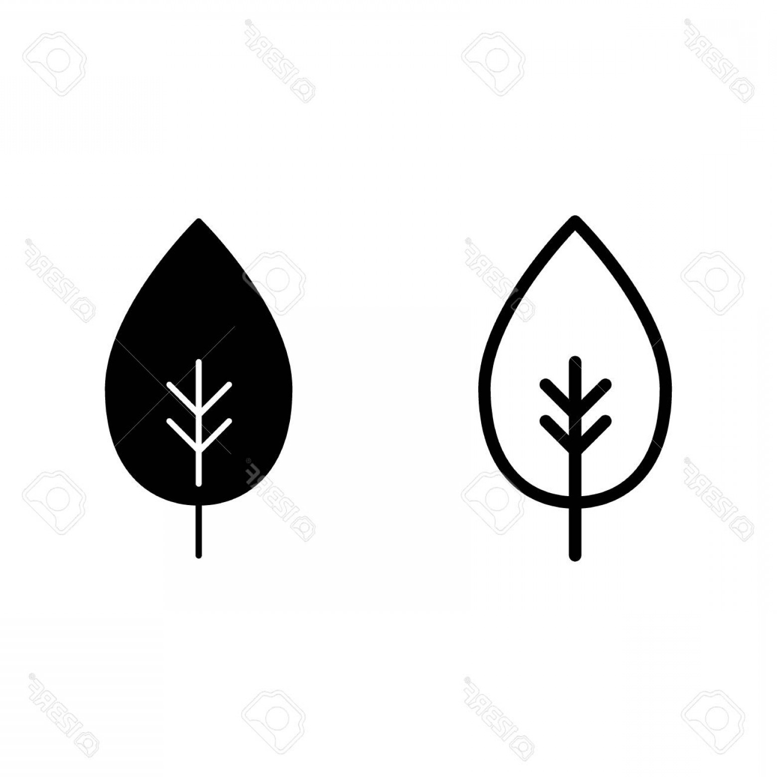 1560x1560 Simple Leaf Vector Hoodamathrun