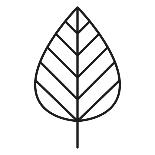 512x512 Stem With Line Leaf Icon