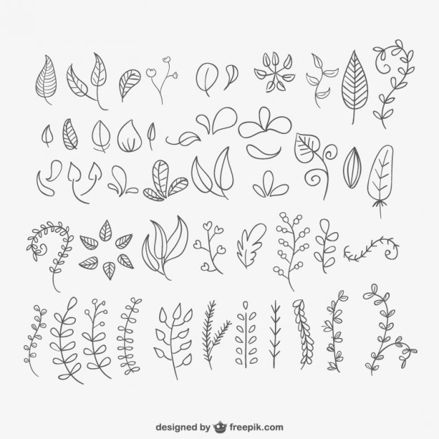 626x626 Hand Drawn Leaves Pack Vector Free Download