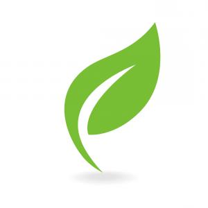 300x300 Green Leaf Icon Simple Eco Logo Vector Handandbeak