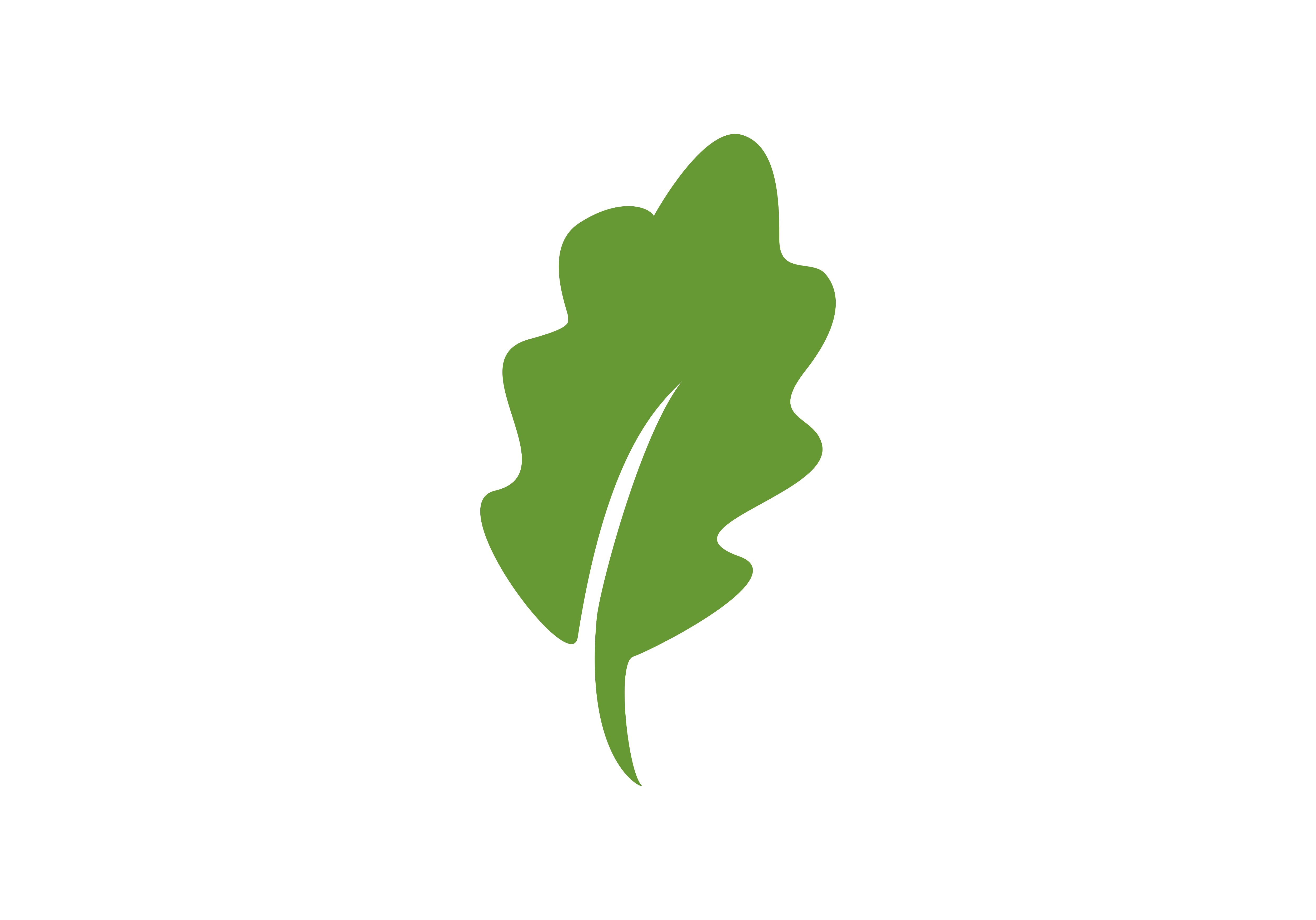 5000x3500 Green Leaf, Leaves Logo Vector Graphic