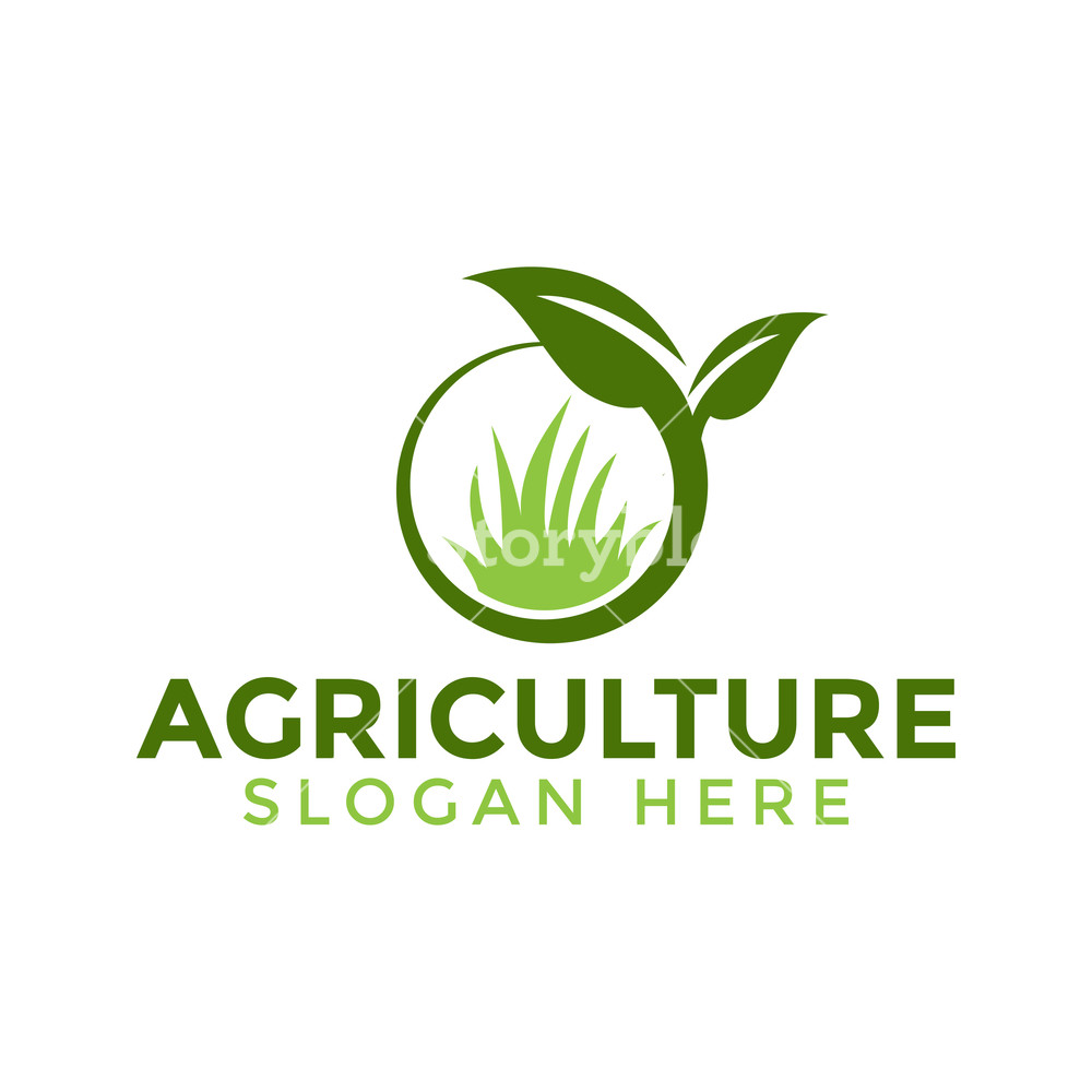 1000x1000 Leaf And Grass Agriculture Logo Icon Design Template Vector