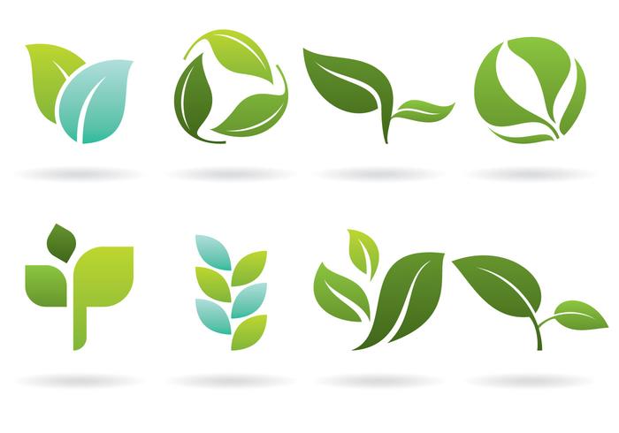 700x490 Leaves Logos