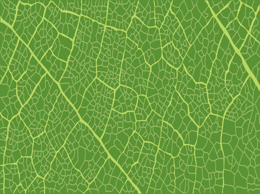 Leaf Pattern Vector Art Graphics 1024x765 Leaf Pattern Vector Art Graphics