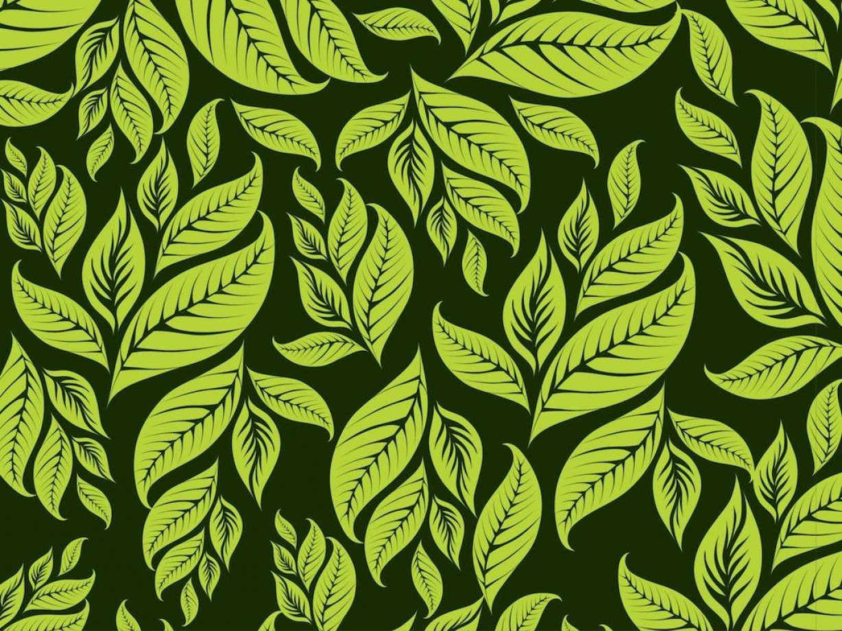 Best Hd Leaf Pattern Vector Free Cqrecords 1228x921 Best Hd Leaf Pattern Vector Free Cqrecords