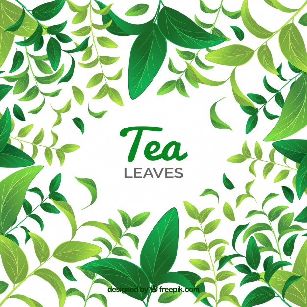 Vectors Of Leaves Free Vector Graphics Everypixel 626x626 Vectors Of Leaves Free Vector Graphics Everypixel