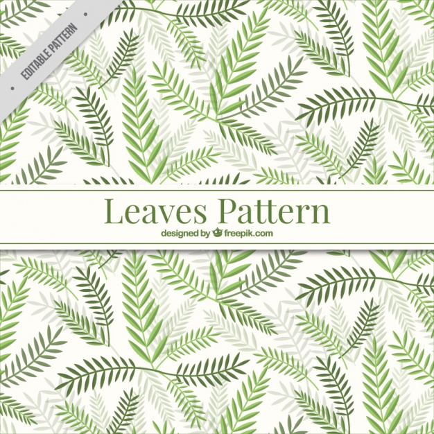 Green Leaves Pattern Vector Free Download 626x626 Green Leaves Pattern Vector Free Download