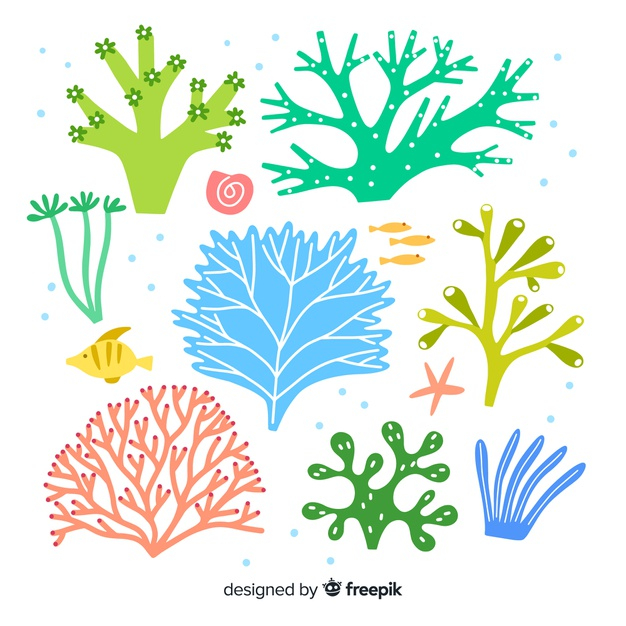 Leaf Reef Vector at Vectorified.com | Collection of Leaf Reef Vector ...
