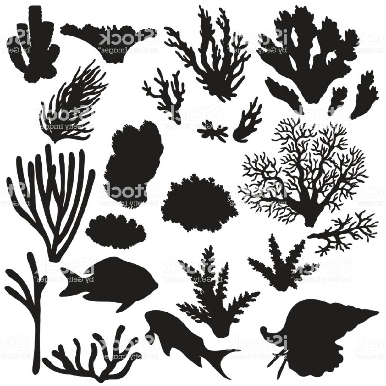 1228x1228 Reef Animals And Corals Silhouette Set Gm Soidergi