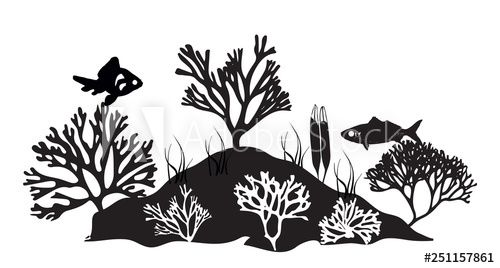 500x268 Coral Reef Silhouette