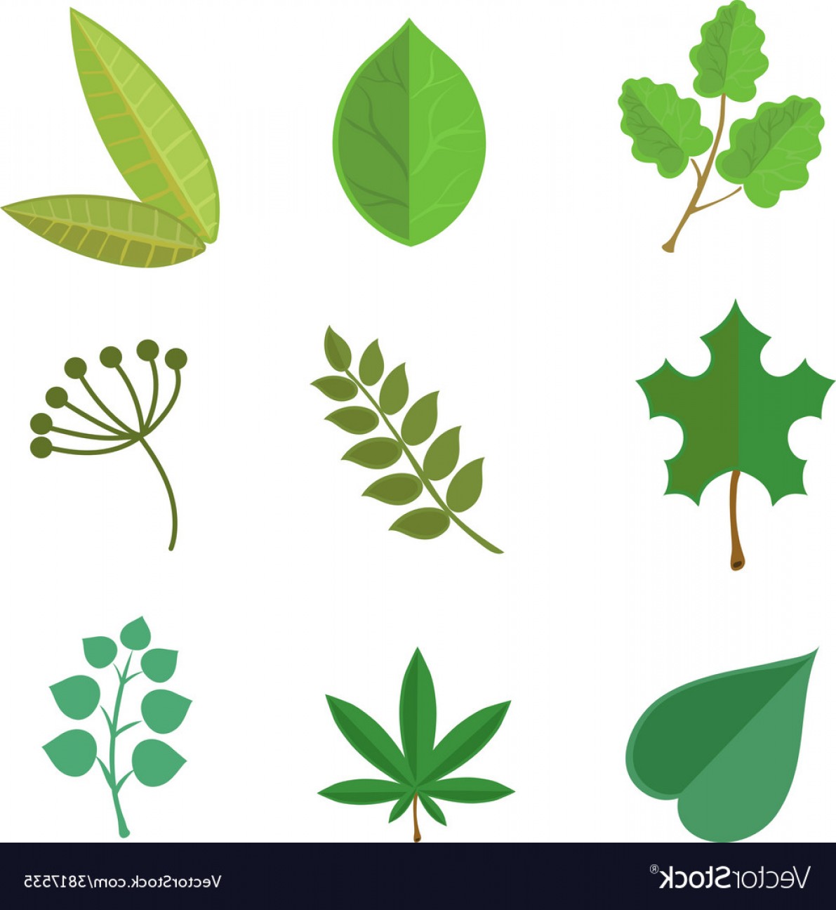 1191x1296 Cranberry Vector Realistic Reef Lamaison