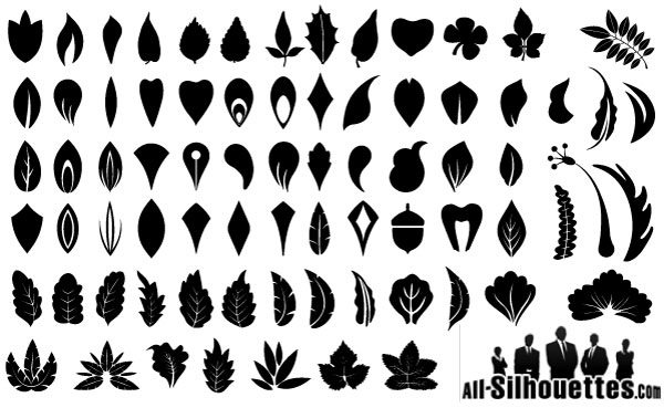Leaf Shape Vector