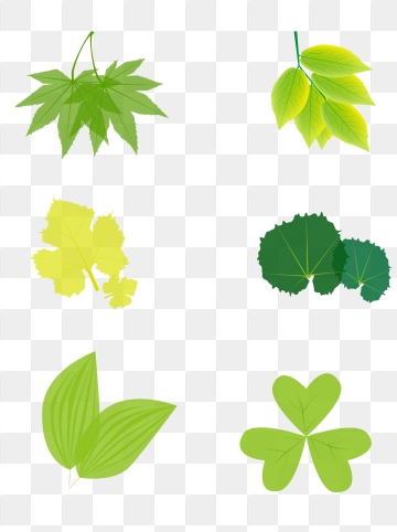 360x482 Free Download Maple Leaf Shape Australian Flag Png Images, Leaf