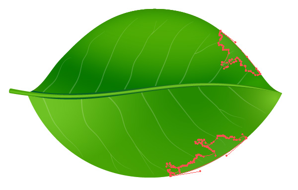 Leaf Shape Vector At Collection Of Leaf Shape Vector