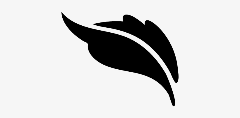 820x405 Plant Leaf Shape Vector