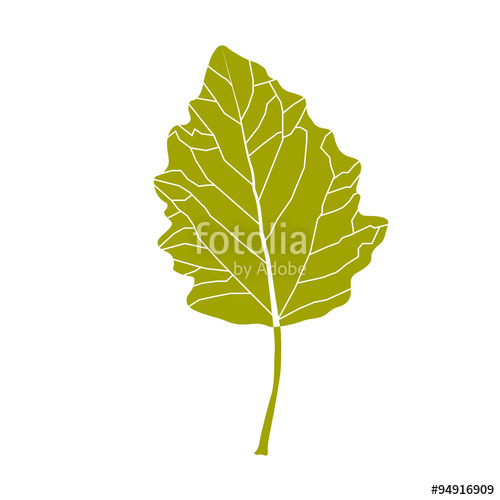 500x500 Autumn Leaf Shape Vector Stock Image And Royalty Free Vector