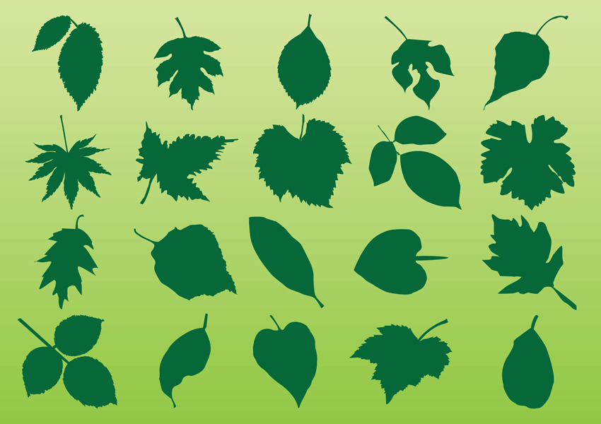 850x600 Plant Leaves Vectors Vector Art Graphics