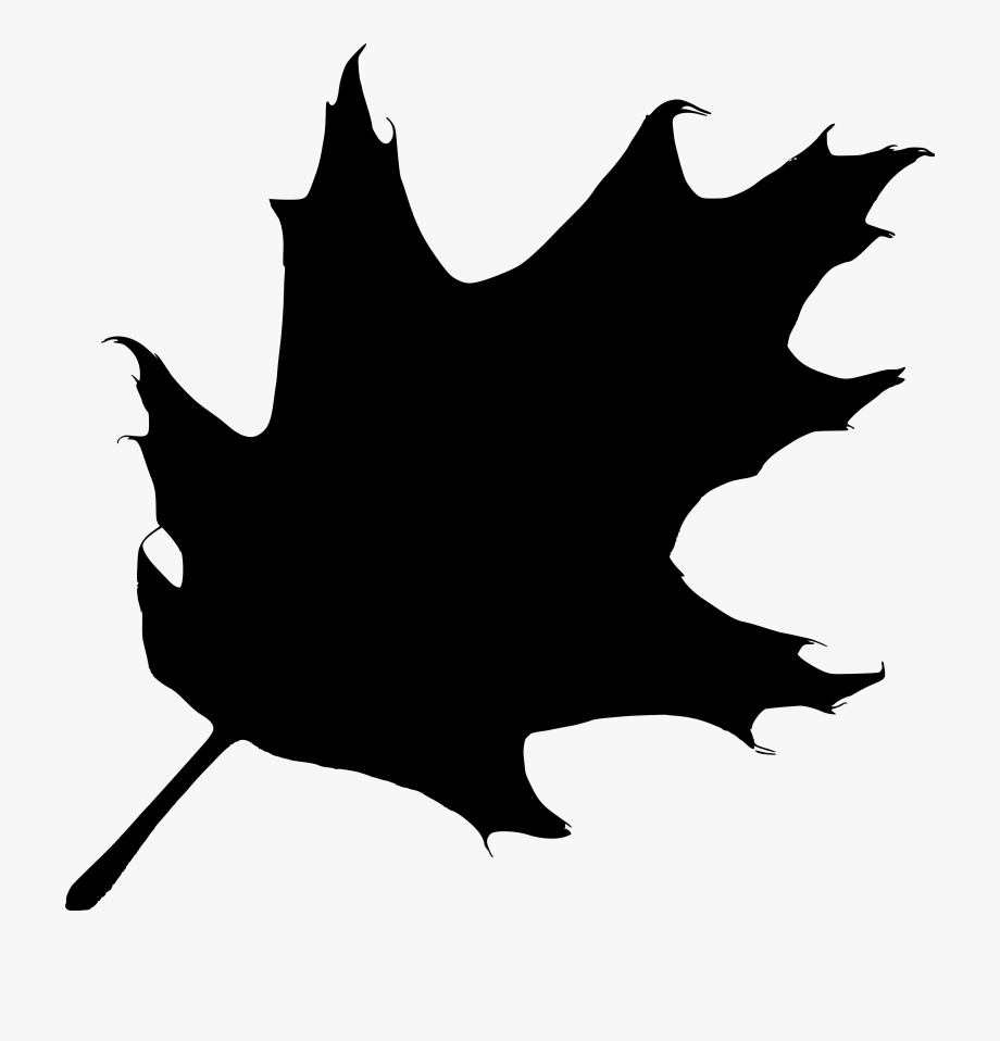 920x958 Leaf Clipart Black Oak