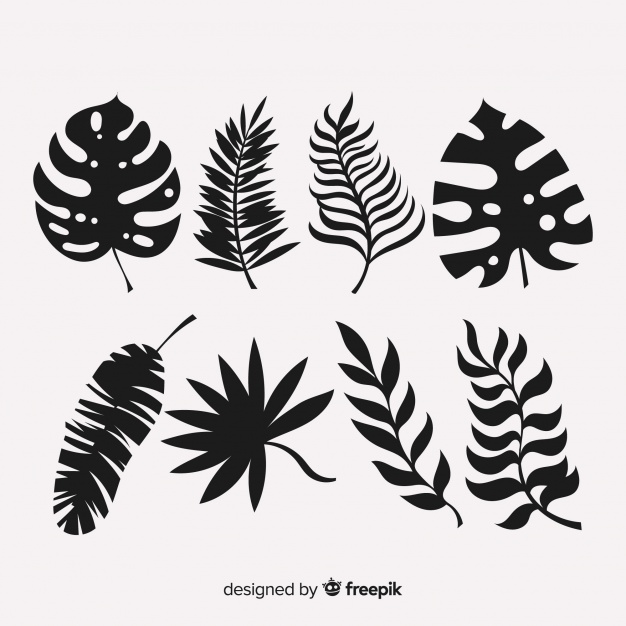 626x626 Leaf Silhouette Vectors, Photos And Free Download