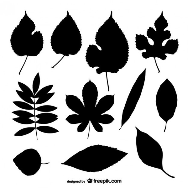 600x600 Leaf Silhouettes Collection Free Vector