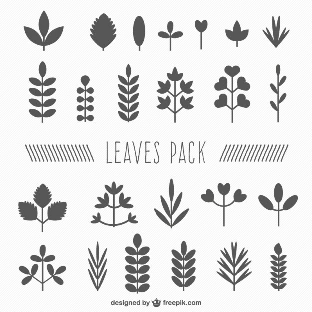 626x626 Leaf Silhouette Collection Vector Premium Download