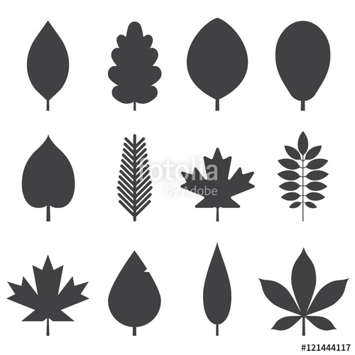 Leaf Silhouette Vector at Vectorified.com | Collection of Leaf ...