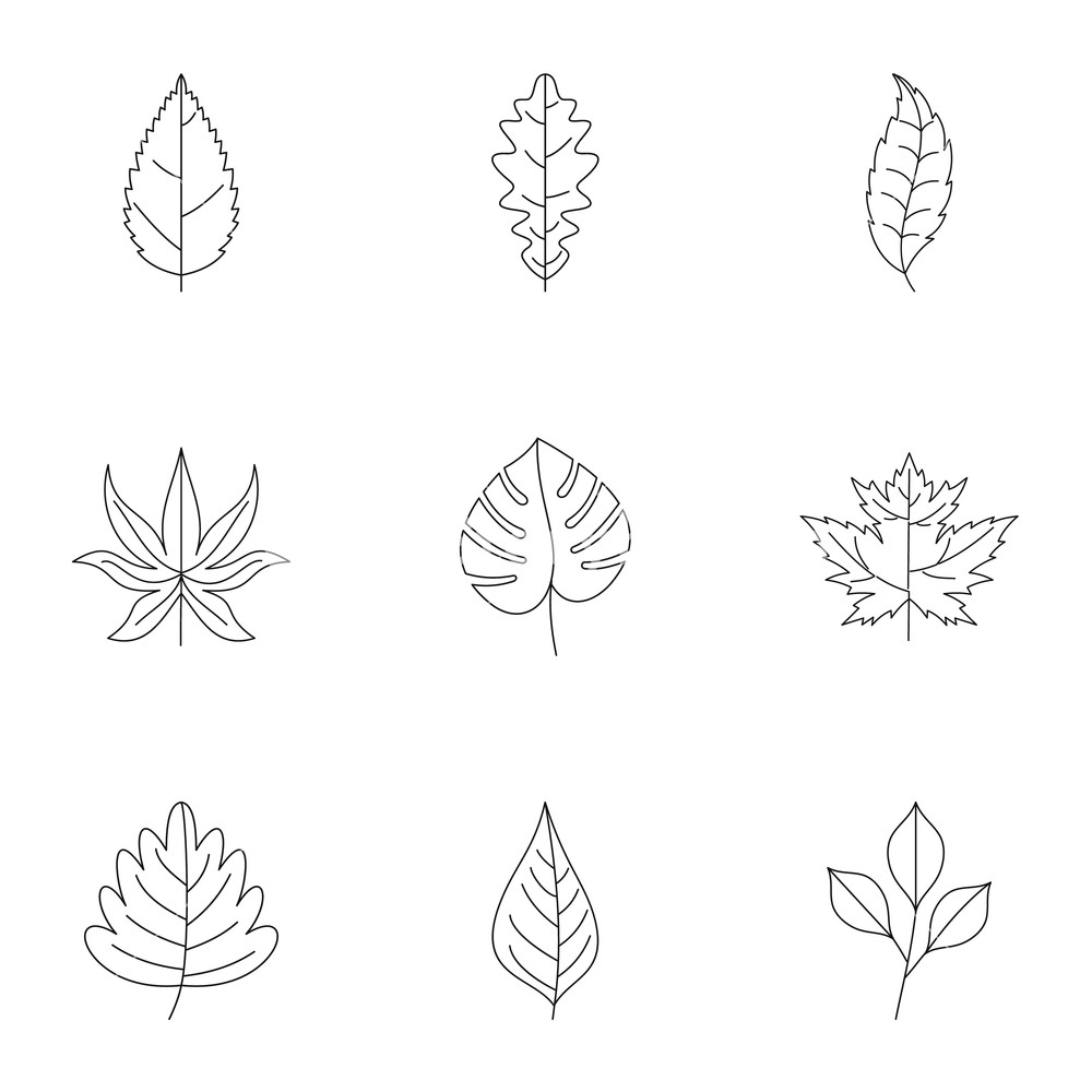 1000x1000 Leaf Silhouette Icons Set Outline Set Of Leaf Silhouette Vector